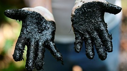 Illustration Lula brade des terres aux trusts du pétrole