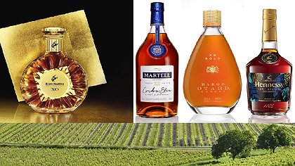 Illustration Cognac contre véhicules électriques : dans cette guerre commerciale, les travailleurs doivent se défendre eux-mêmes