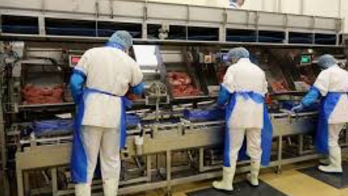 Illustration - Les Mousquetaires font leur marché