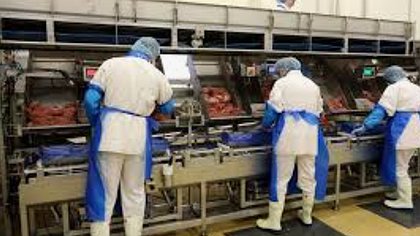 Illustration Les Mousquetaires font leur marché