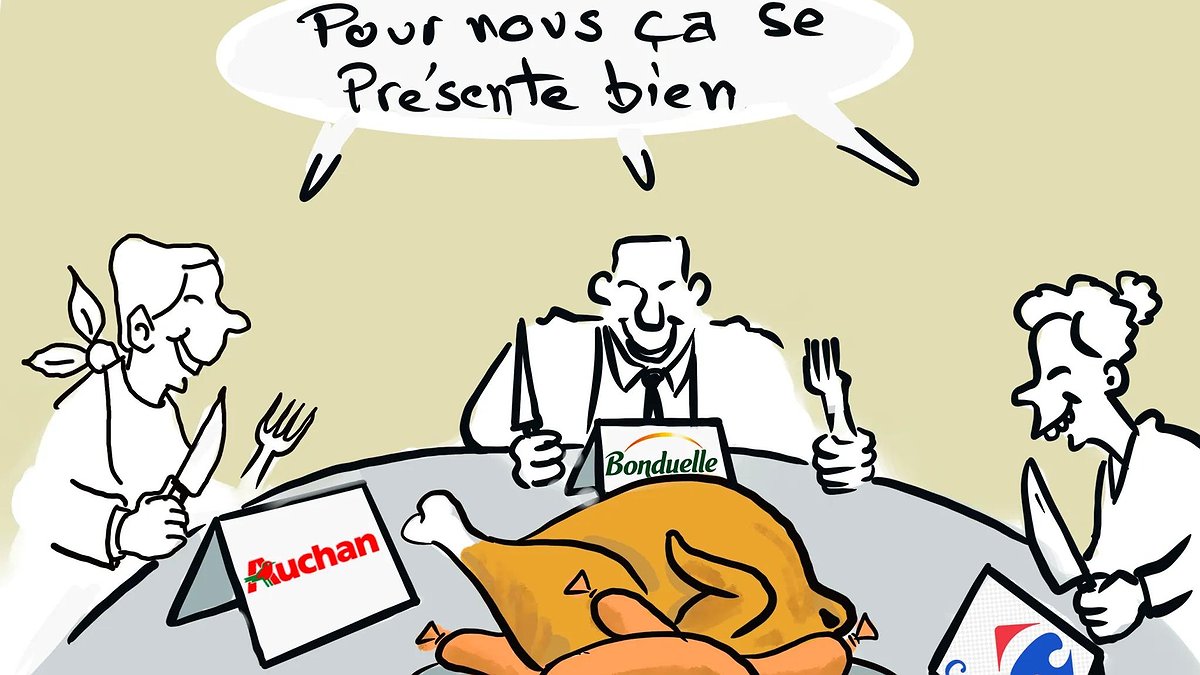 Illustration - négociations entre rapaces