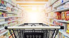 Illustration - Contre les requins, union des petits poissons !