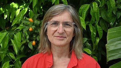 Illustration Des listes "Lutte ouvrière - le camp des travailleurs" à Nice, Toulon et Arles