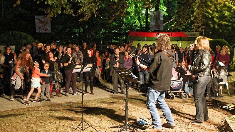 Illustration - Spectacles