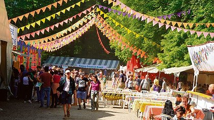 Illustration article