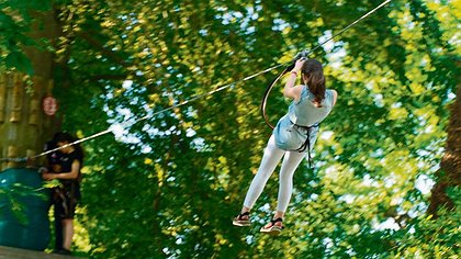 Illustration article