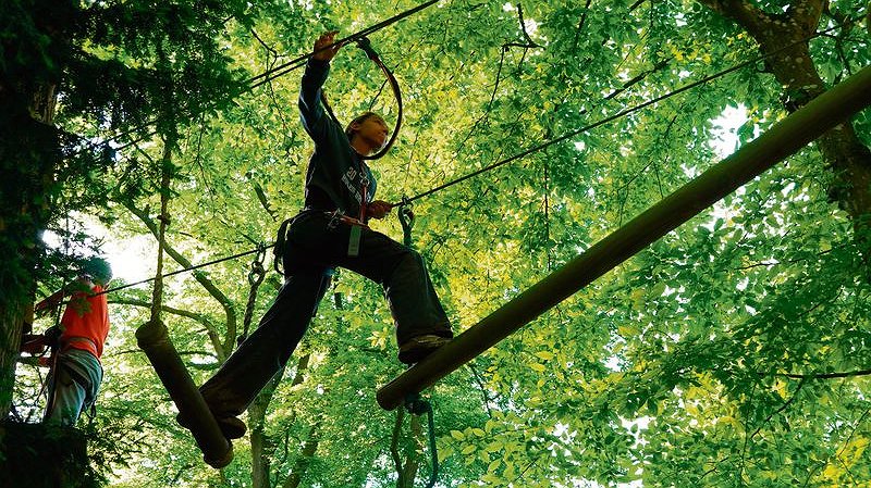 Illustration - Parcours dans les arbres