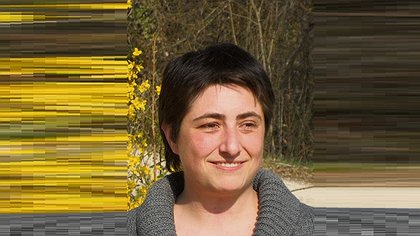 Illustration article