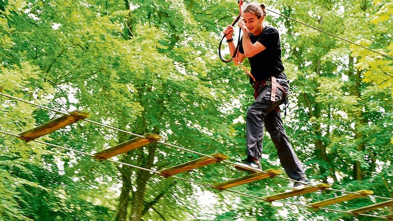 Illustration - Parcours dans les arbres