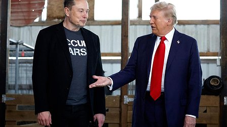 Illustration Trump et Musk : les rois de la jungle